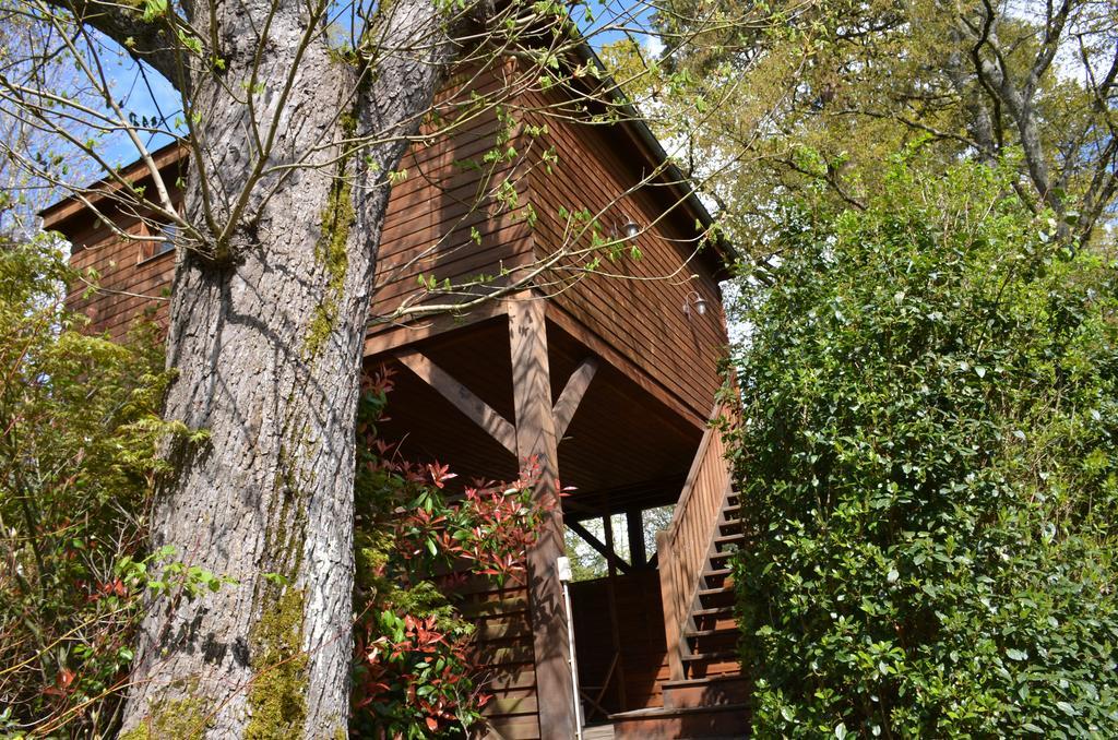 Manoir Du Parc (Adults Only) Hotel Амбоаз Екстериор снимка